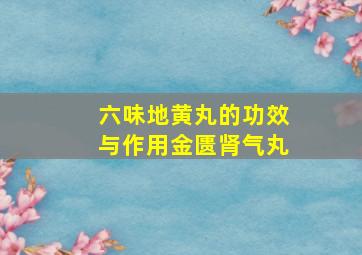 六味地黄丸的功效与作用金匮肾气丸