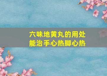 六味地黄丸的用处能治手心热脚心热