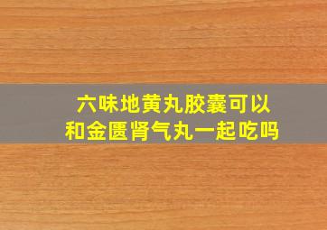 六味地黄丸胶囊可以和金匮肾气丸一起吃吗