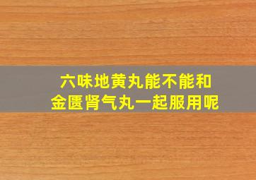 六味地黄丸能不能和金匮肾气丸一起服用呢