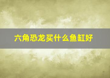 六角恐龙买什么鱼缸好