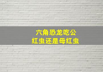 六角恐龙吃公红虫还是母红虫