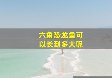 六角恐龙鱼可以长到多大呢