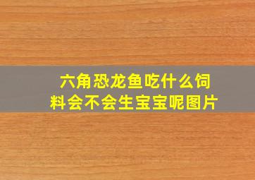 六角恐龙鱼吃什么饲料会不会生宝宝呢图片