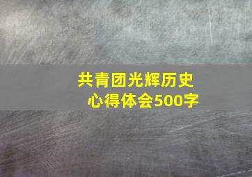 共青团光辉历史心得体会500字