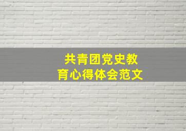 共青团党史教育心得体会范文