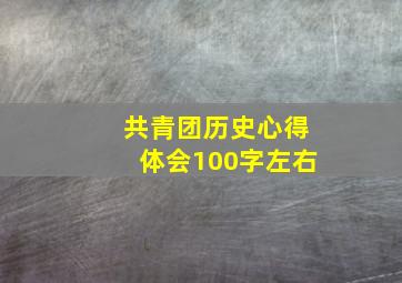 共青团历史心得体会100字左右