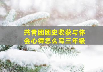 共青团团史收获与体会心得怎么写三年级