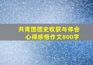 共青团团史收获与体会心得感悟作文800字