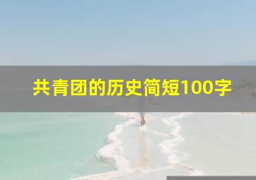 共青团的历史简短100字