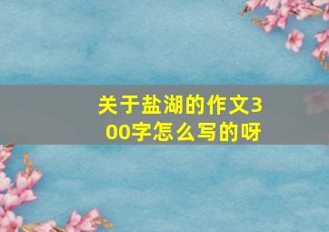 关于盐湖的作文300字怎么写的呀