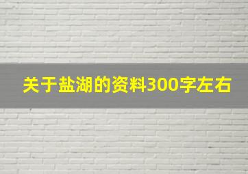 关于盐湖的资料300字左右