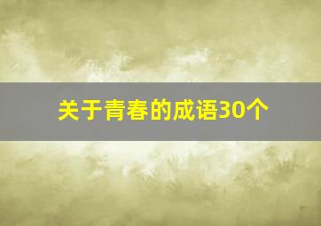 关于青春的成语30个