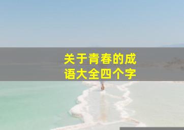 关于青春的成语大全四个字