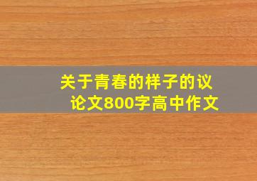 关于青春的样子的议论文800字高中作文