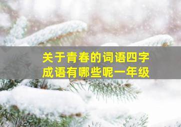 关于青春的词语四字成语有哪些呢一年级