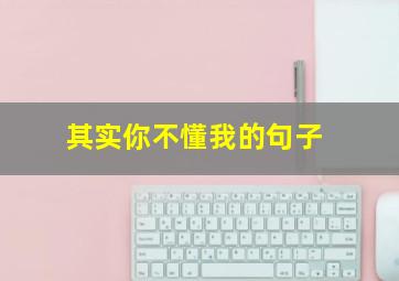 其实你不懂我的句子