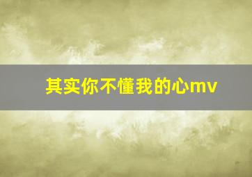 其实你不懂我的心mv