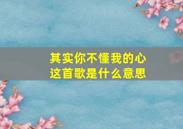 其实你不懂我的心这首歌是什么意思