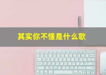 其实你不懂是什么歌