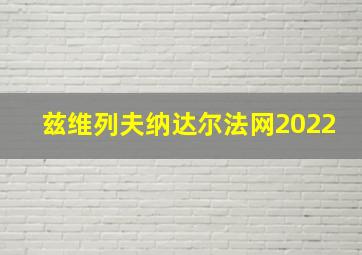 兹维列夫纳达尔法网2022