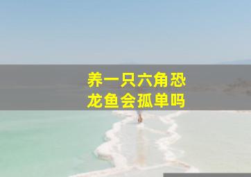 养一只六角恐龙鱼会孤单吗