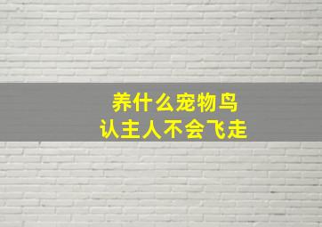 养什么宠物鸟认主人不会飞走