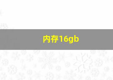 内存16gb