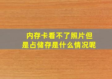 内存卡看不了照片但是占储存是什么情况呢