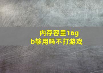 内存容量16gb够用吗不打游戏