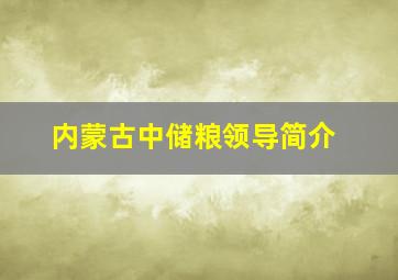 内蒙古中储粮领导简介