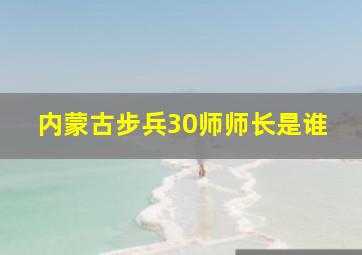 内蒙古步兵30师师长是谁