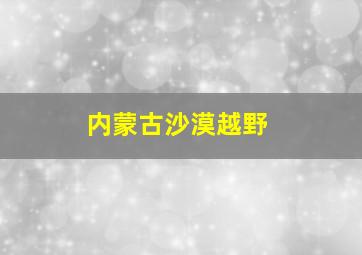 内蒙古沙漠越野