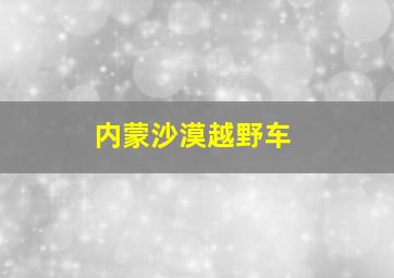 内蒙沙漠越野车