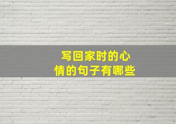 写回家时的心情的句子有哪些