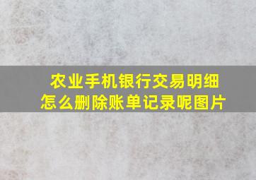 农业手机银行交易明细怎么删除账单记录呢图片