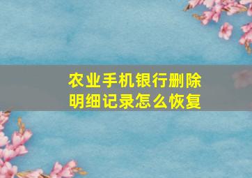 农业手机银行删除明细记录怎么恢复