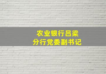 农业银行吕梁分行党委副书记