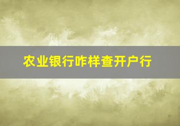 农业银行咋样查开户行