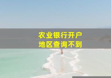 农业银行开户地区查询不到