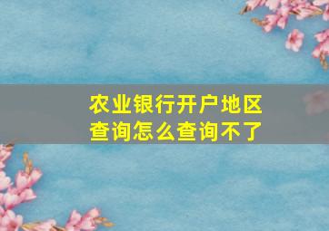 农业银行开户地区查询怎么查询不了