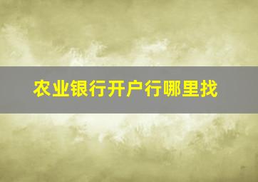 农业银行开户行哪里找