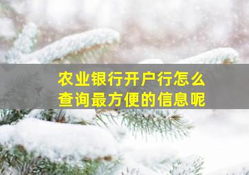 农业银行开户行怎么查询最方便的信息呢