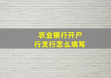 农业银行开户行支行怎么填写