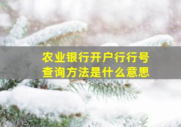 农业银行开户行行号查询方法是什么意思