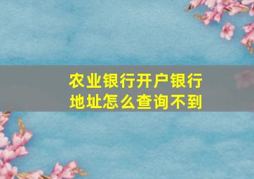 农业银行开户银行地址怎么查询不到