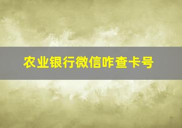 农业银行微信咋查卡号