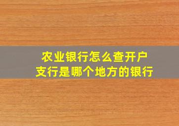 农业银行怎么查开户支行是哪个地方的银行