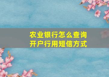 农业银行怎么查询开户行用短信方式