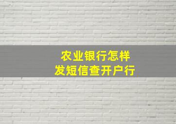 农业银行怎样发短信查开户行